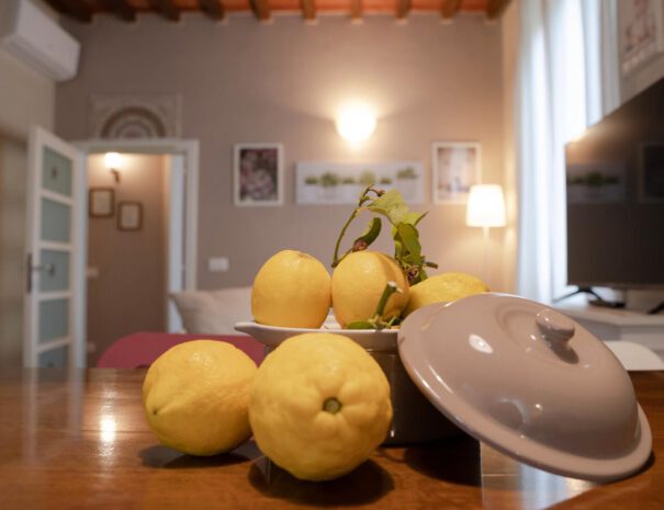 sala fico 3