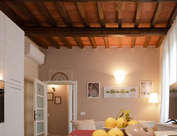 sala fico 4